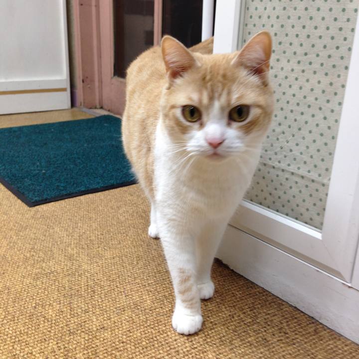 29516d3a 893e 49e4 b2df 22216b3ab2b9