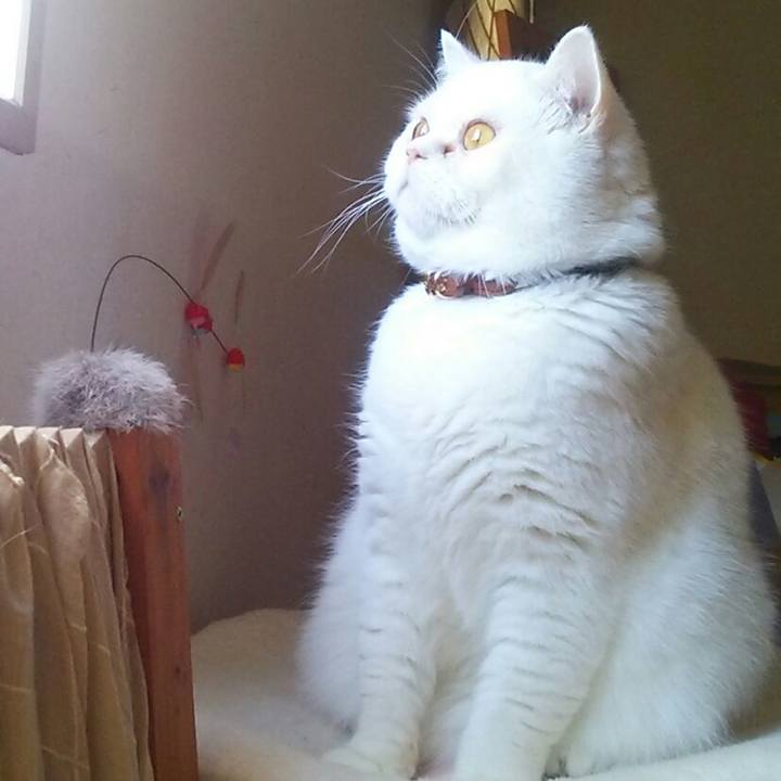 295183e2 fed7 4c89 8d40 6d1a0c11e457