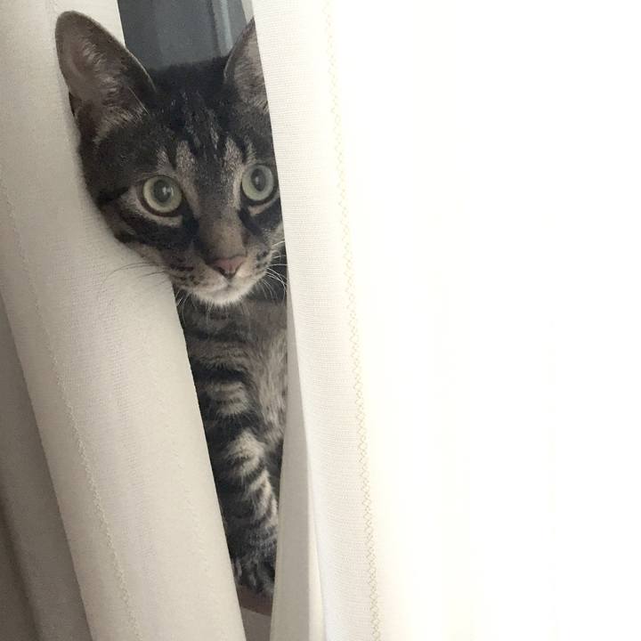 2951c3d3 bd28 4e4a 8714 045eb89f649c