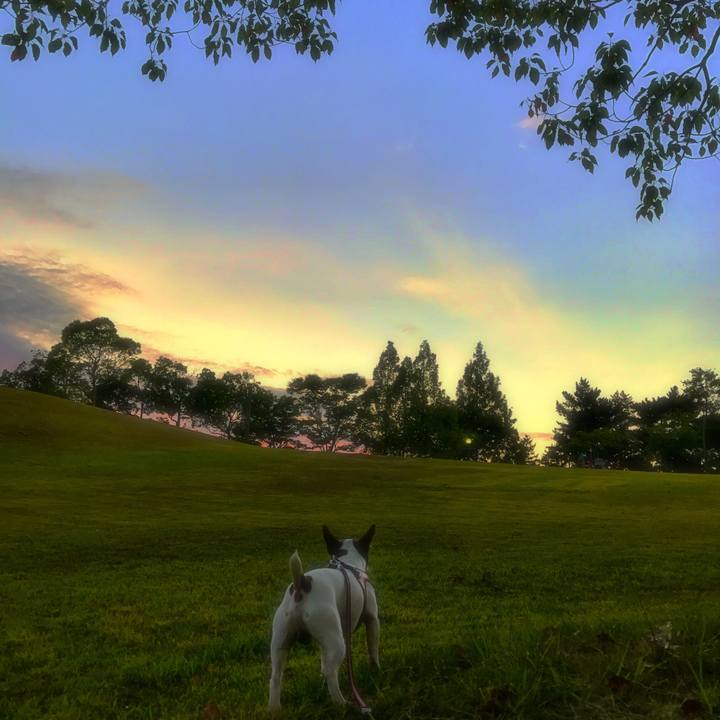 2951ec04 1e33 41b4 904e 50a273118e90