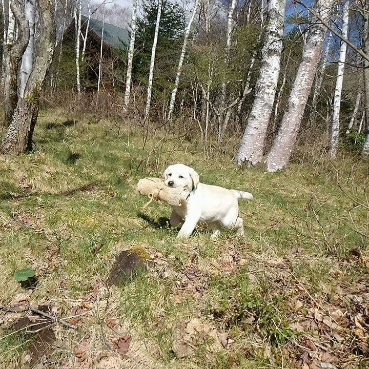 295299d4 01fe 48c5 a7ad 1b6cb740c9b4