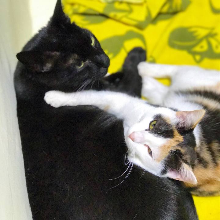 2952a3be fc61 4a28 ae58 4a70d956955c