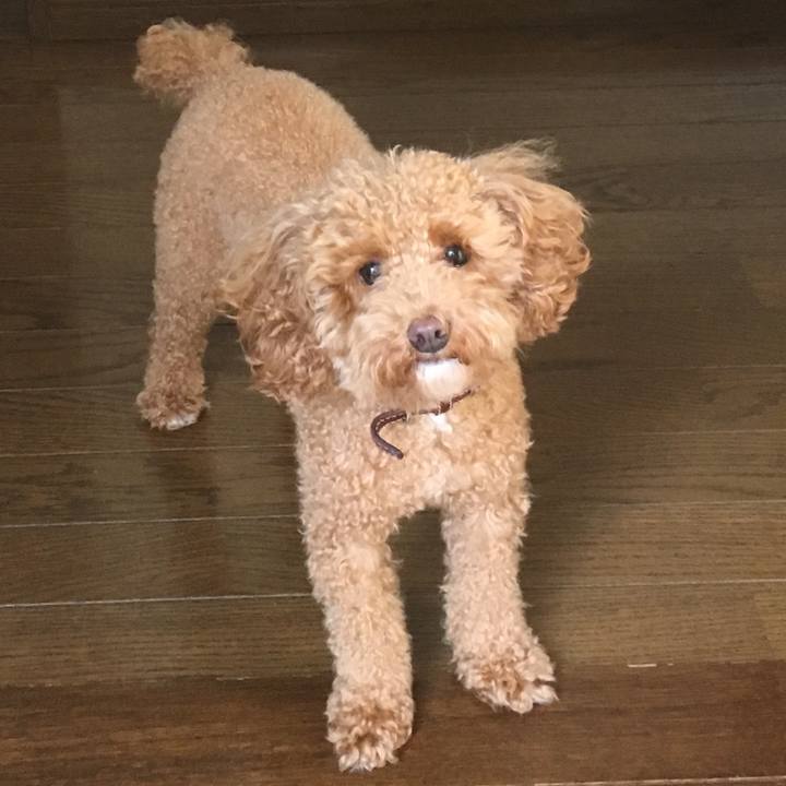 2952bd50 795f 4440 92ac a178628308f8