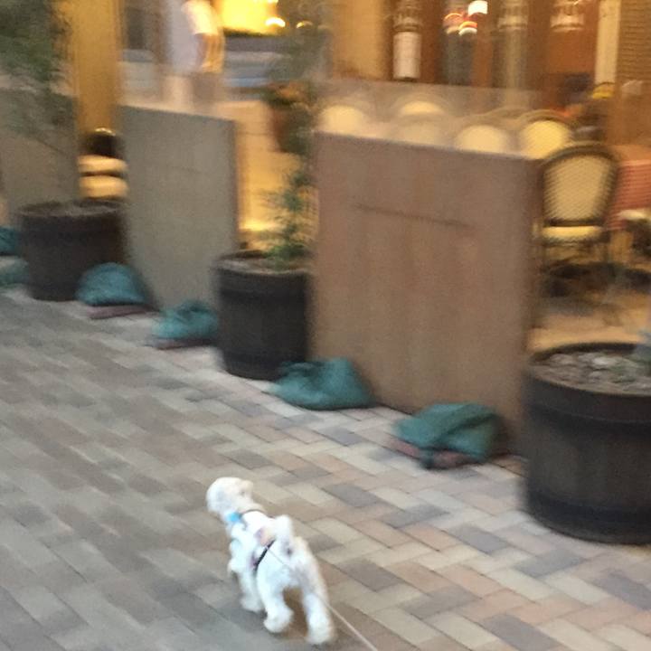 29530bbe 1fff 445e be4b 7282fcb1b119