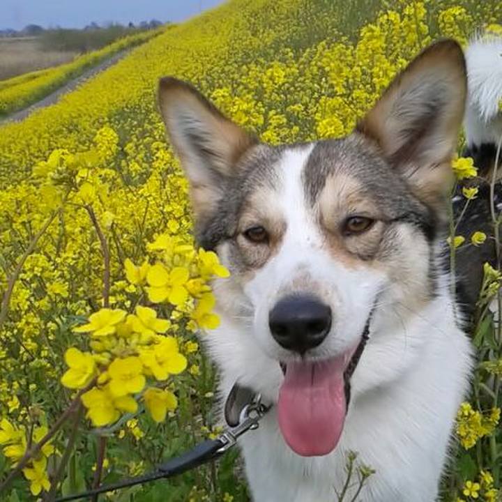 2953f964 78c7 427b aa80 e76cd5425813