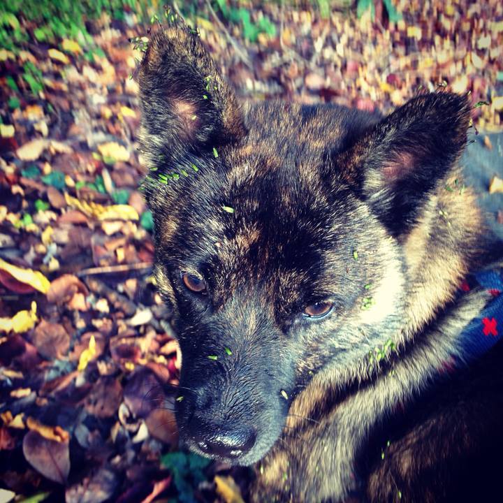 295431aa af53 4f57 831b fec47ec466c2