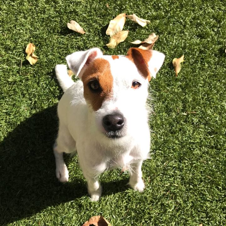 29545bee 9dcf 4948 9a32 e5fe37f3d5e9