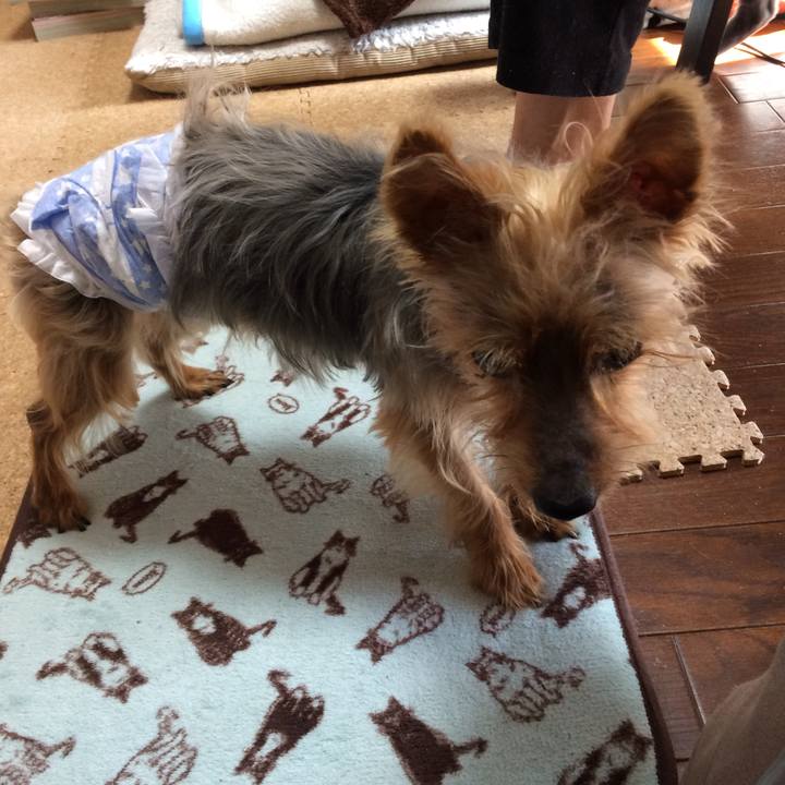 29556359 16e3 4551 9b50 9953aeaa0cbb