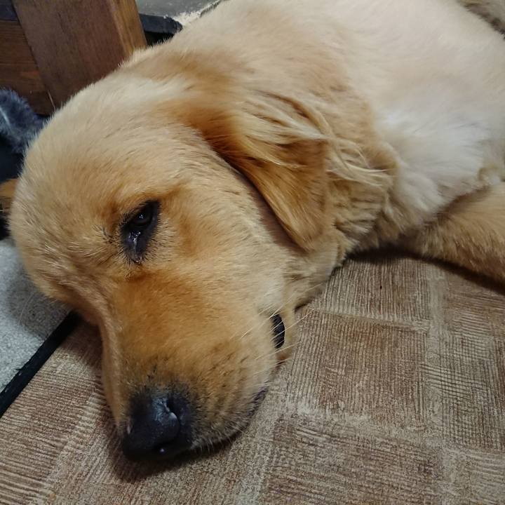 2955ff1d 0e2c 4fa7 9063 397bacb8f065