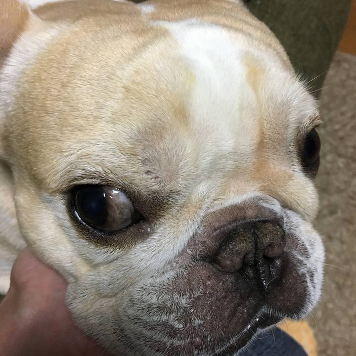 29563f5a 3ea8 4899 8be4 8af65ed950af