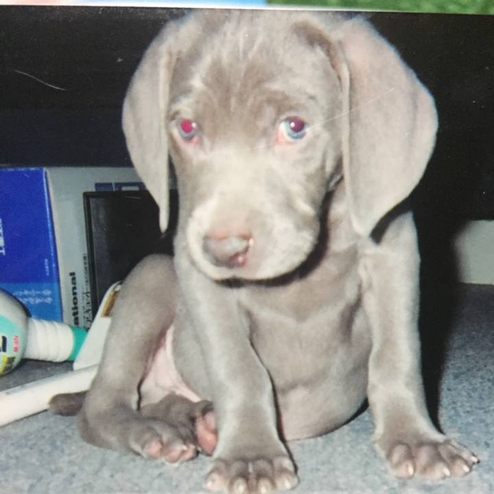 29566c50 488b 45c1 aaf2 daf4f0c426d2