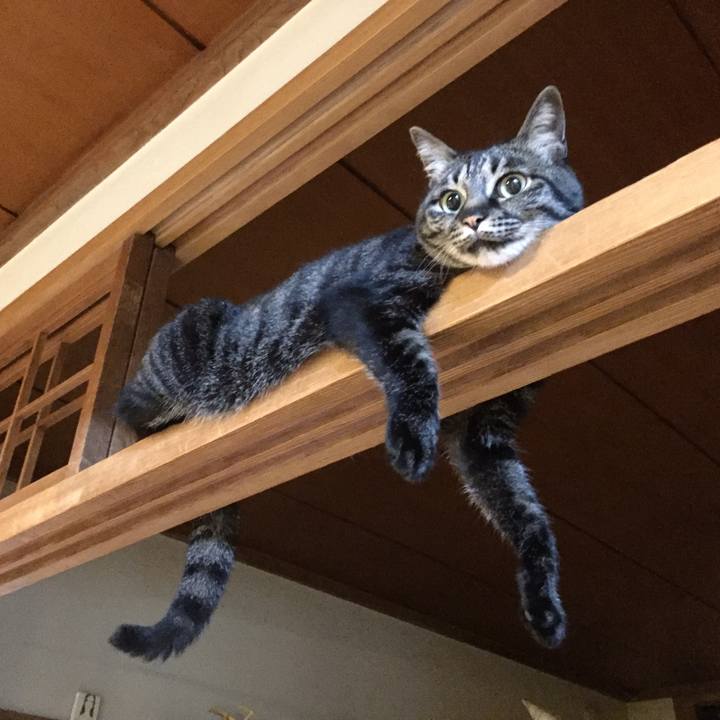 2956b833 0a77 46b5 b259 e752dbc96373