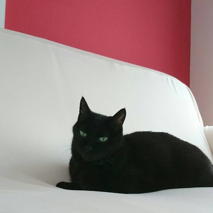 2956d39d f82b 462d a60e 2ec9ef93adce