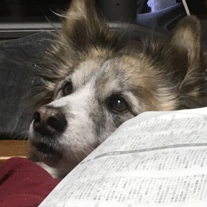 2956ec31 0a1b 41f3 9190 e83b8ac4b831