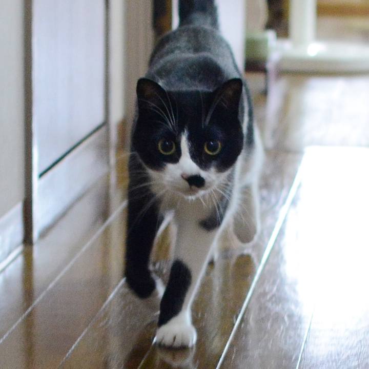 2956ff5f e899 4cb8 a3e1 6dc9b6a5ab58