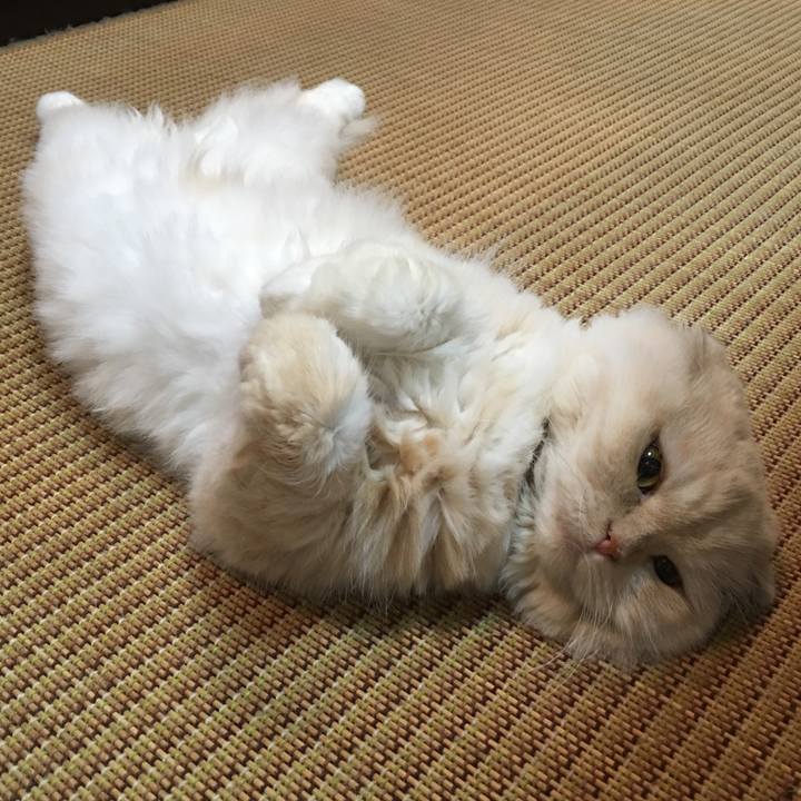 29570434 2901 4035 b6fb 8993d5c3a61d