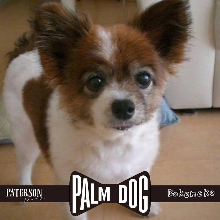 29574c30 c540 4c92 a7b9 20cdcf1f2589