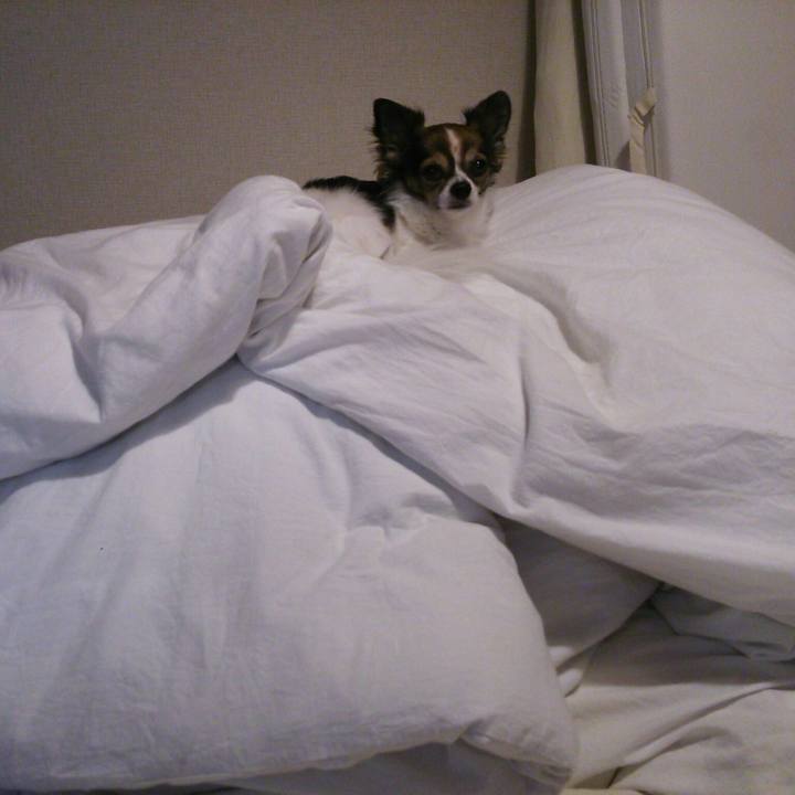 29576be8 dfb0 41ae b78b cf94b8e741a7