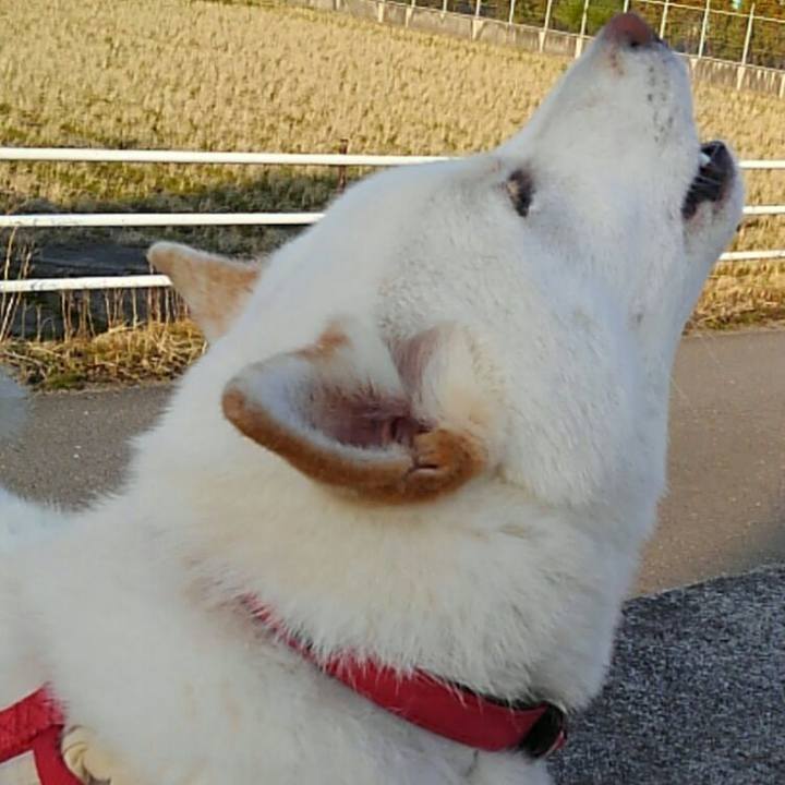 295770b3 cddf 4a76 ba70 580d3094ec10