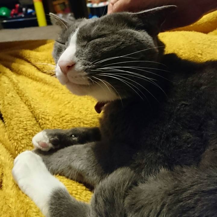 29579c58 7ab3 4709 8385 c9c96660f4e9