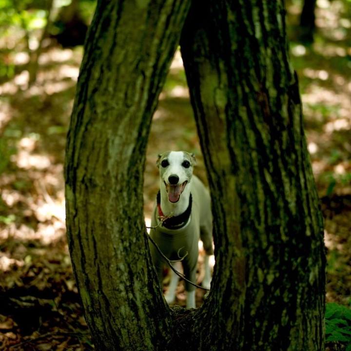 2957cbd8 5c8f 41f9 9ad6 9bb26fcf207e