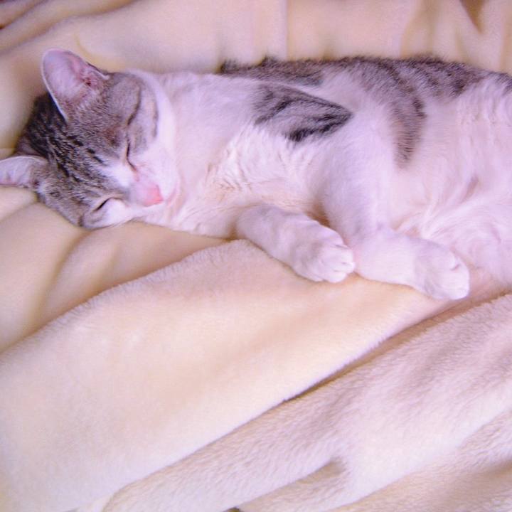 2957d0aa 590a 422d aec8 08f88a06c51b