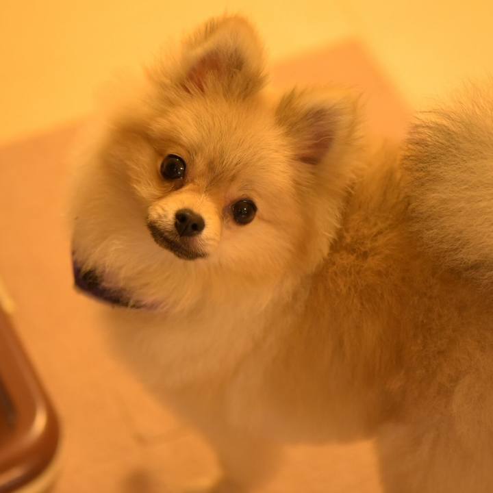 29582018 0afc 46b0 a90f 929689a9135c