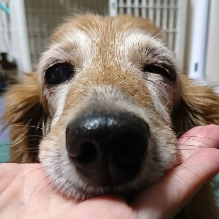 29584843 40da 4bfb 9d6b a6c2846dfeb1