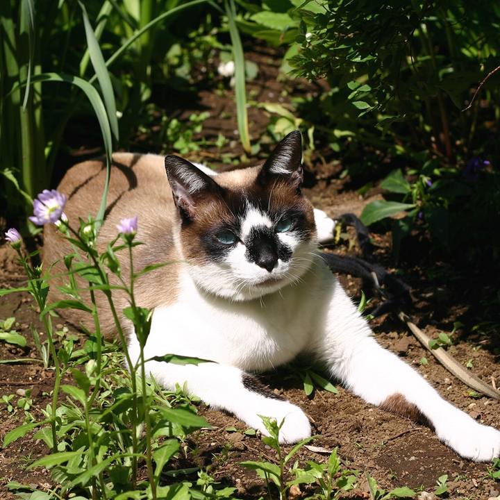 29590f54 eed7 470f 9816 4b3777ecde67