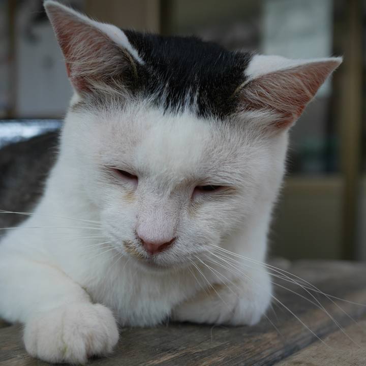 295912fd 6432 48aa b8c7 729a4c58bd71