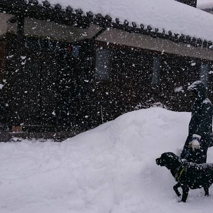 2959270f 9ce8 4538 aee3 29c0defb8a21