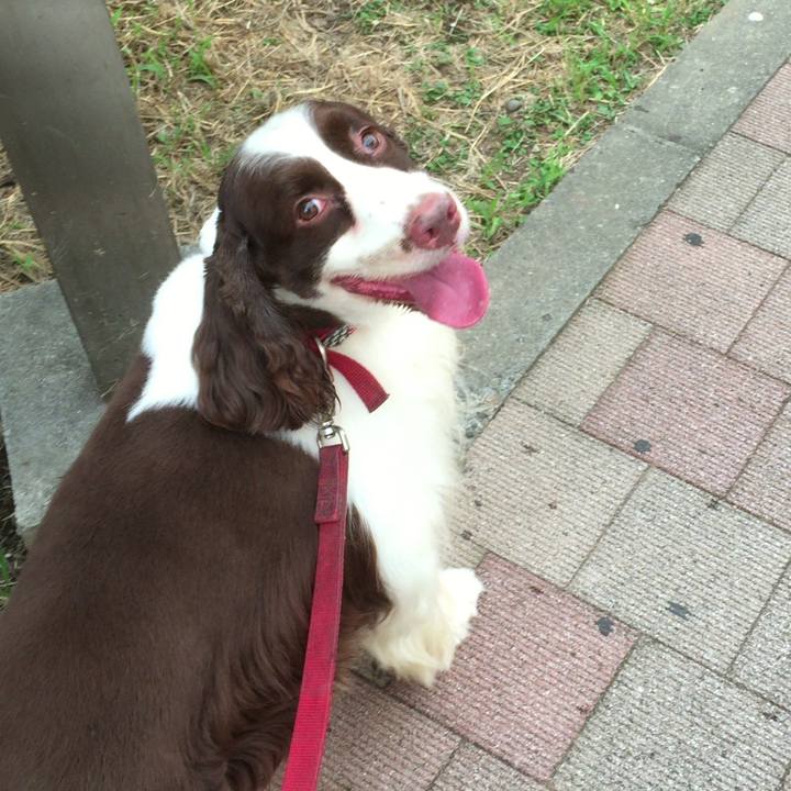 295947c7 185d 4135 8484 148c388a8cd5