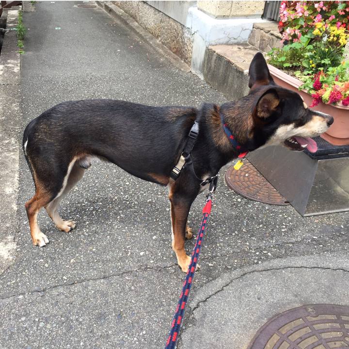 2959ffc8 5b79 4e8a b38f 7d25b050b306