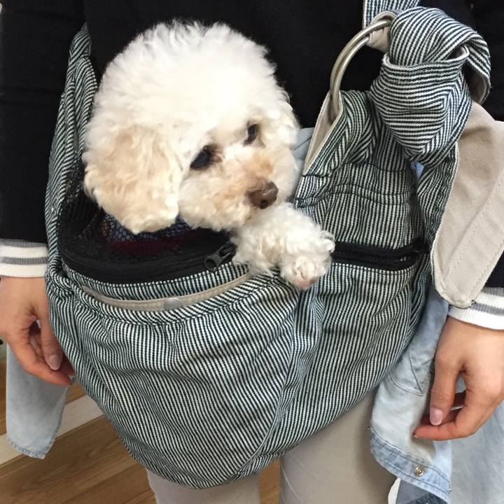 295a29a7 ef9a 44c9 ac11 ee3f1ec48d2e