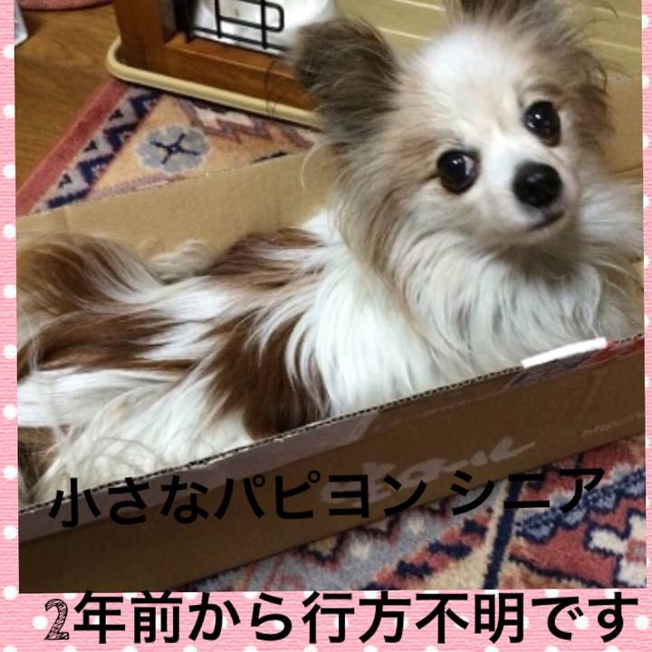 295a6c29 2c17 4724 95ce 17b802aa9ce9