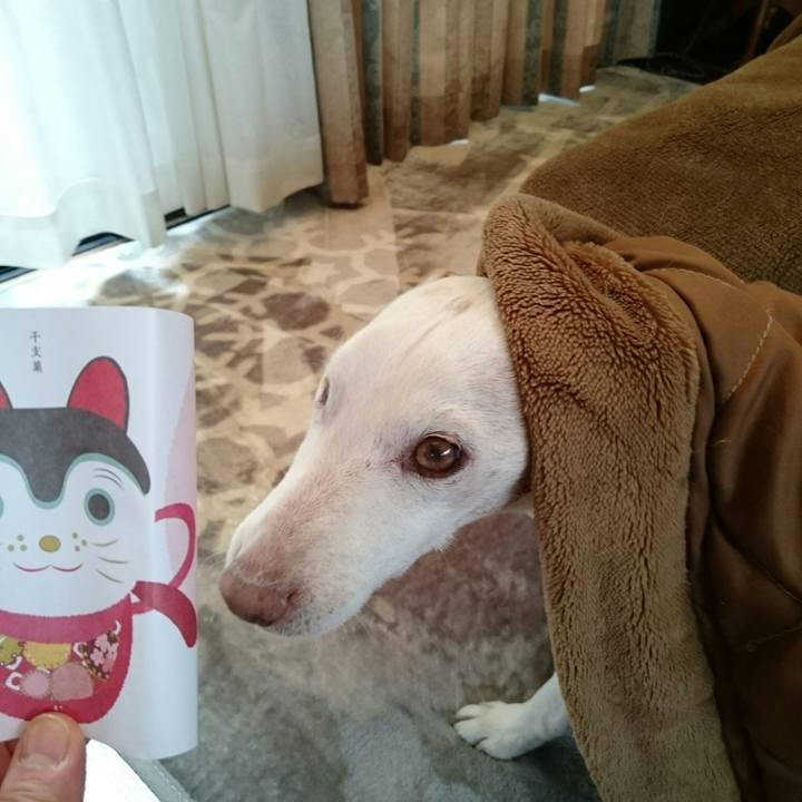 295b2b29 0ed5 451e af21 b55ffbbab20e