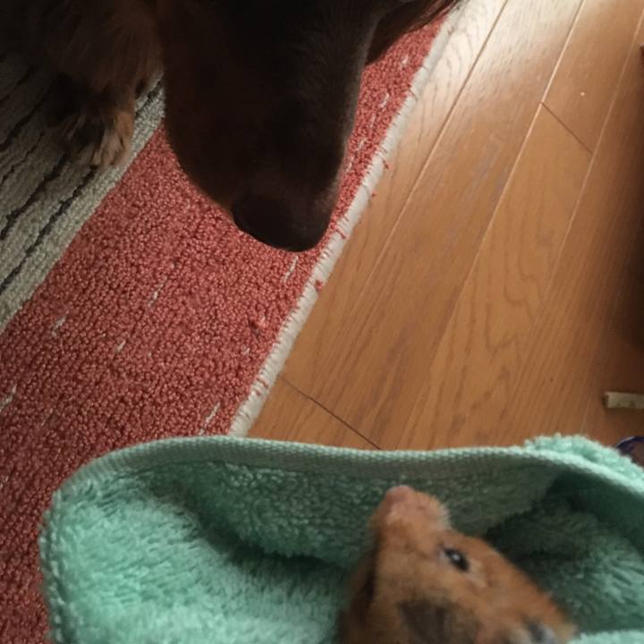 295b5a74 b76c 4188 8ae4 70f681c30310