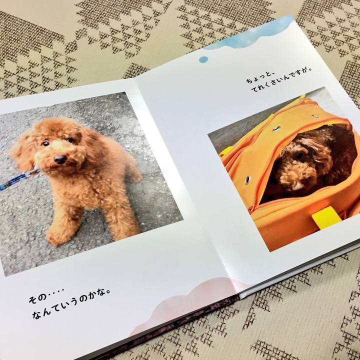 295c32fe feed 4f41 8df5 ccec5ddf556e