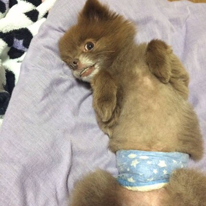 295c48f1 adce 4611 ae06 8f31051cb9bf