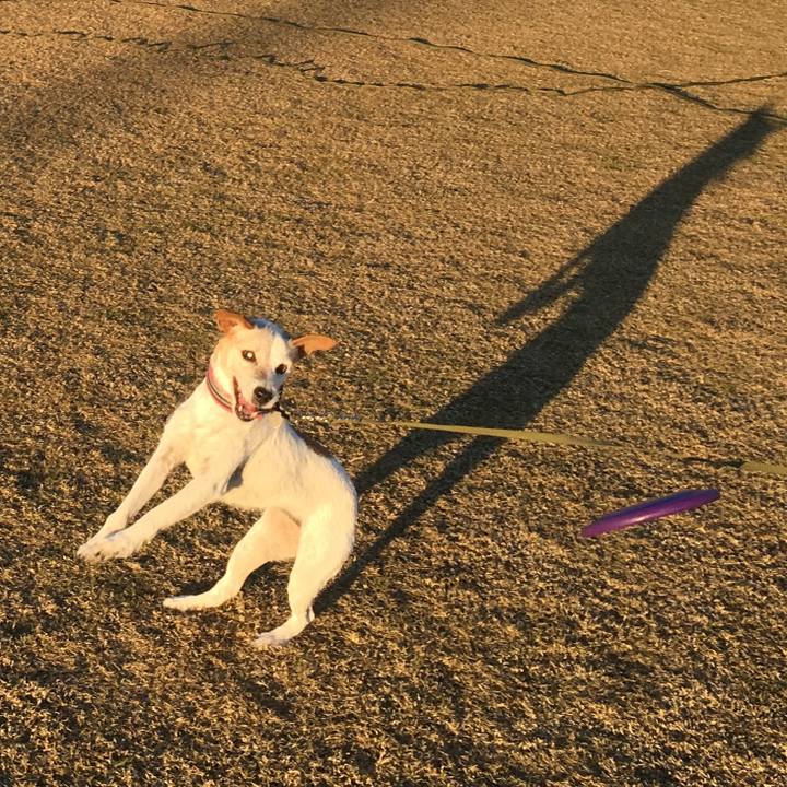 295cc05a 5eff 4696 9669 d4f9c6221562