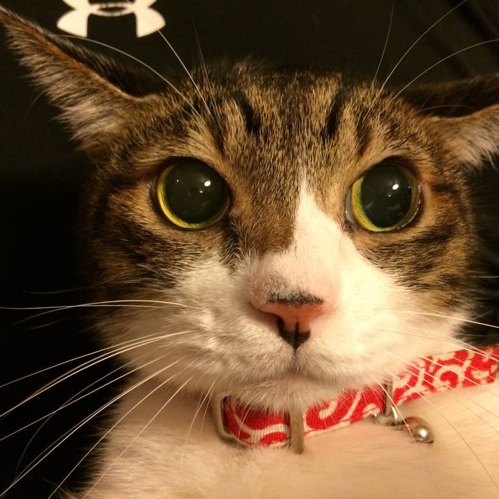 295d1a82 401d 4623 b28a fea367b103c5