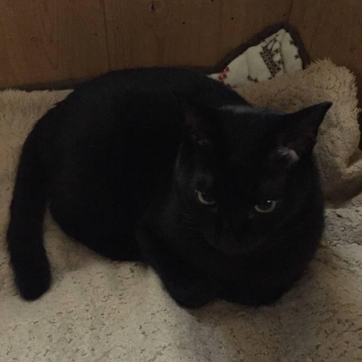 295d4234 9176 47dc a3a8 6237a2810e9a