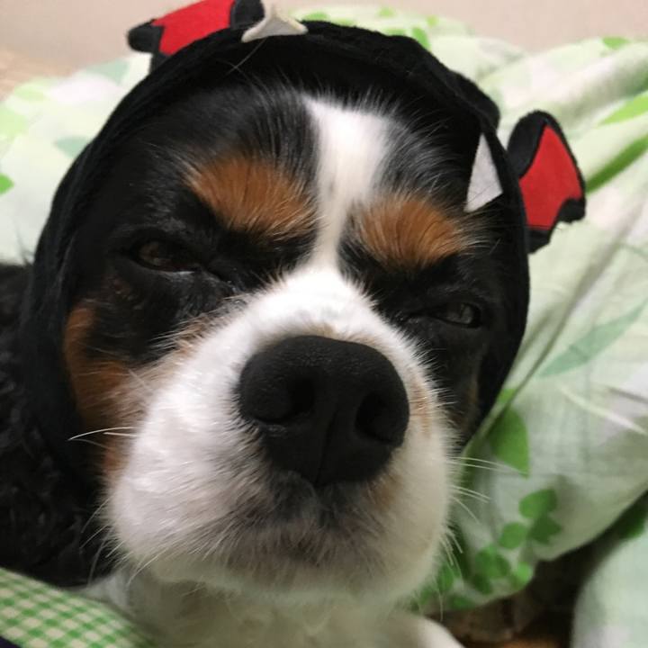 295d7b09 92c7 4ce2 a19b bb7147f9181e