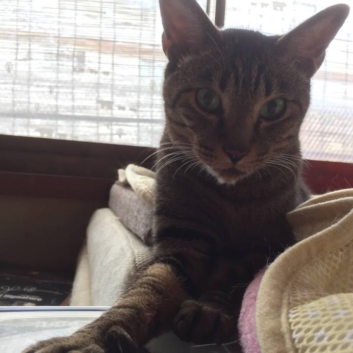 295dac51 d048 46e1 b08d 62e37b3c657a