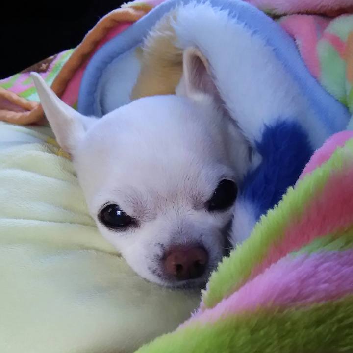 295dba16 7690 4611 b621 0924f80b104c