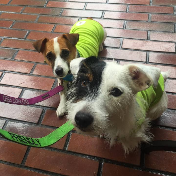 295dea37 3664 4cc6 ba1a 773939567849