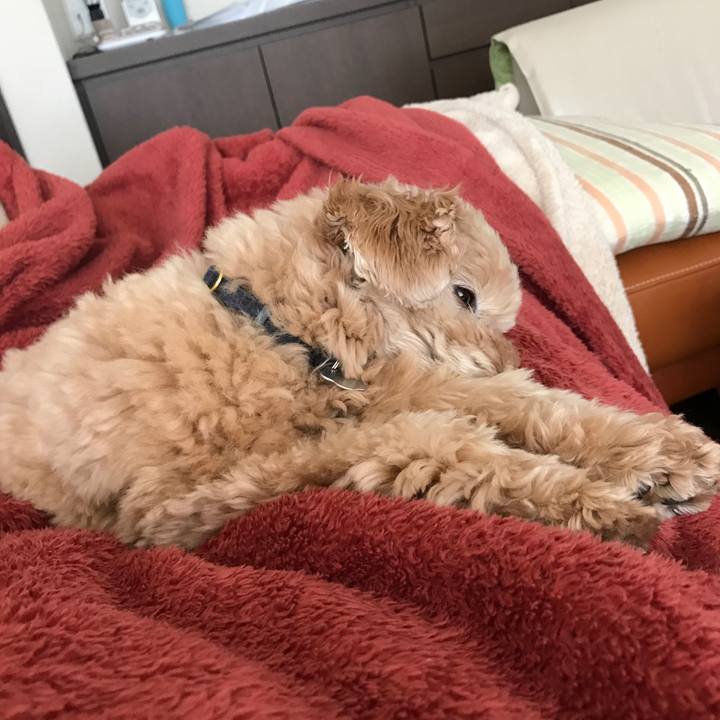 295e1880 2872 4051 87fa 8bce10778b59