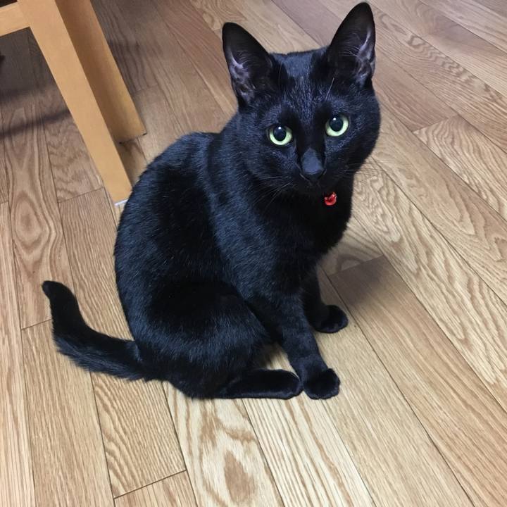 295e39a1 9872 47e2 a1e6 f039e15d24a2