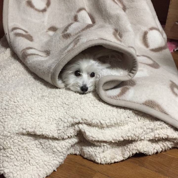 295e82ff 94ba 4782 a4e1 f3aa636c3e26