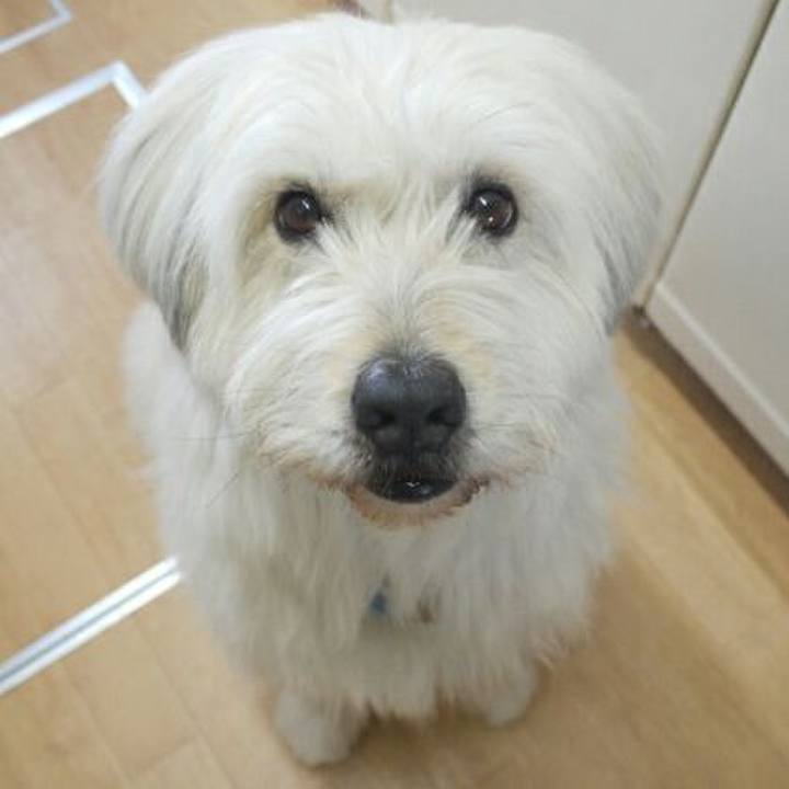 295e833f 605e 42c4 a9ae 765ed4407110